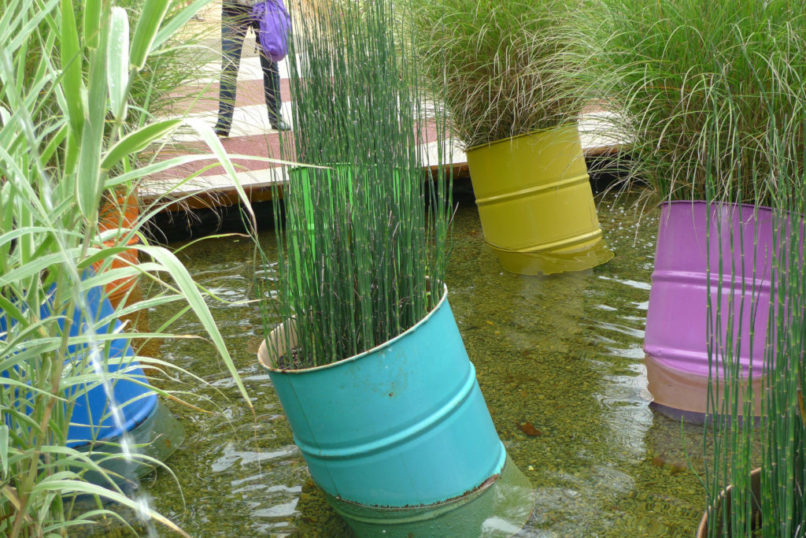 Pots métallique colorés de plantes dans un bassin d'eau
