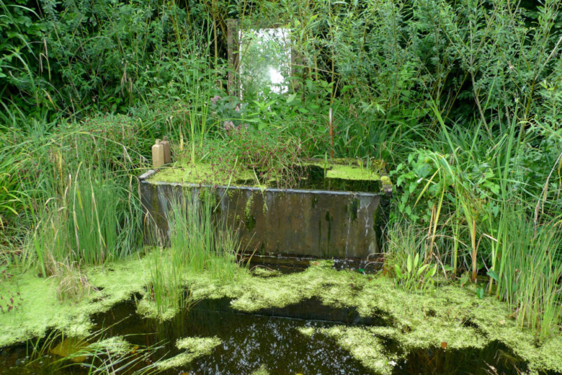 Quelques élements dans le jardins rappelle une salle de bain envahie par les plantes : une baignoire en béton, un miroir...
