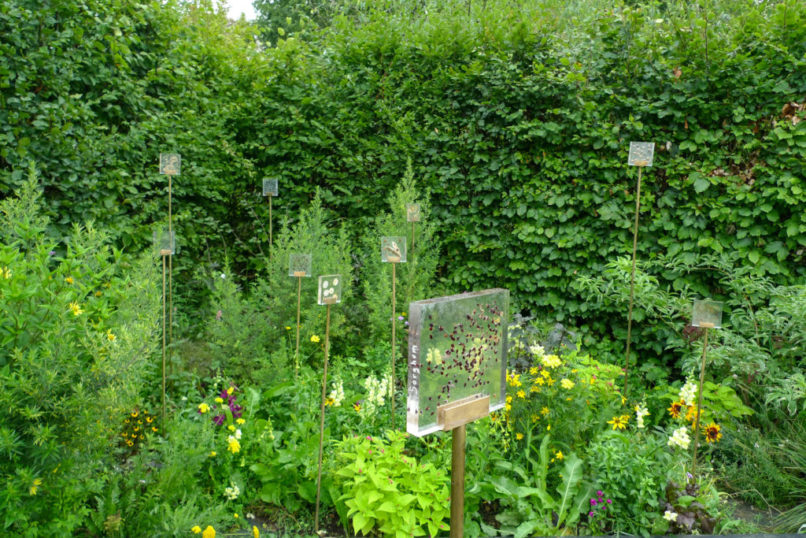 Les graines sont présentés entre deux plaques de plexiglas sur des tiges, comme des bijoux dans le jardin.
